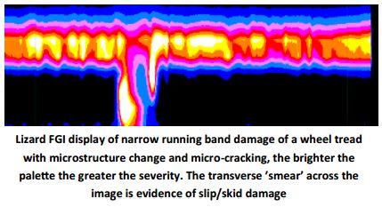 Lizard Scan Display